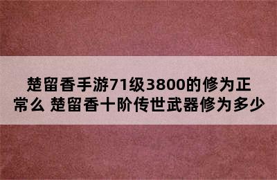 楚留香手游71级3800的修为正常么 楚留香十阶传世武器修为多少